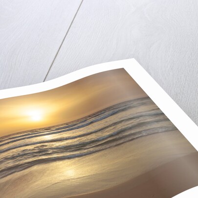 Sunset on the beach by Assaf Frank